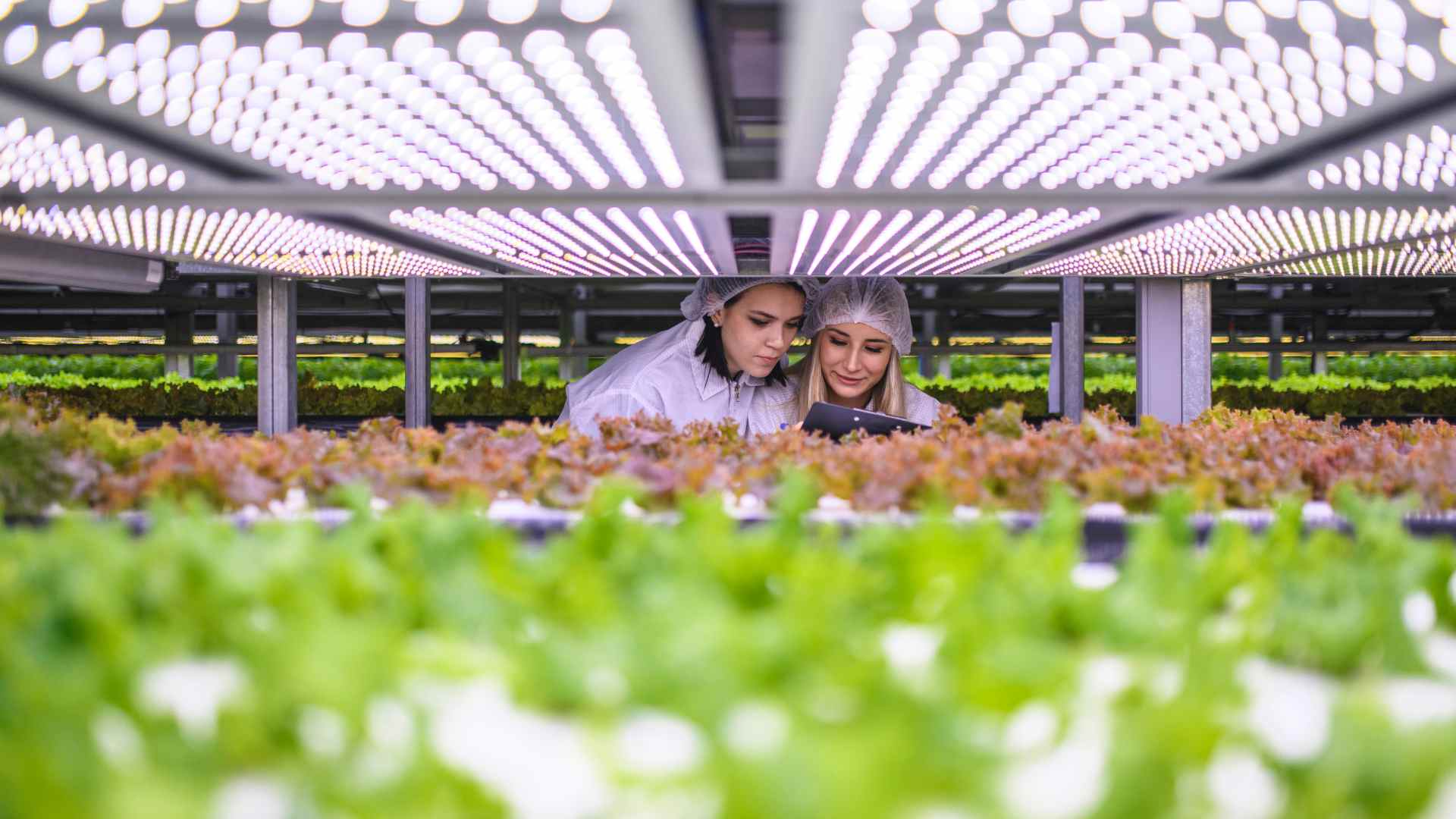 CONAF entra nel cluster agroalimentare