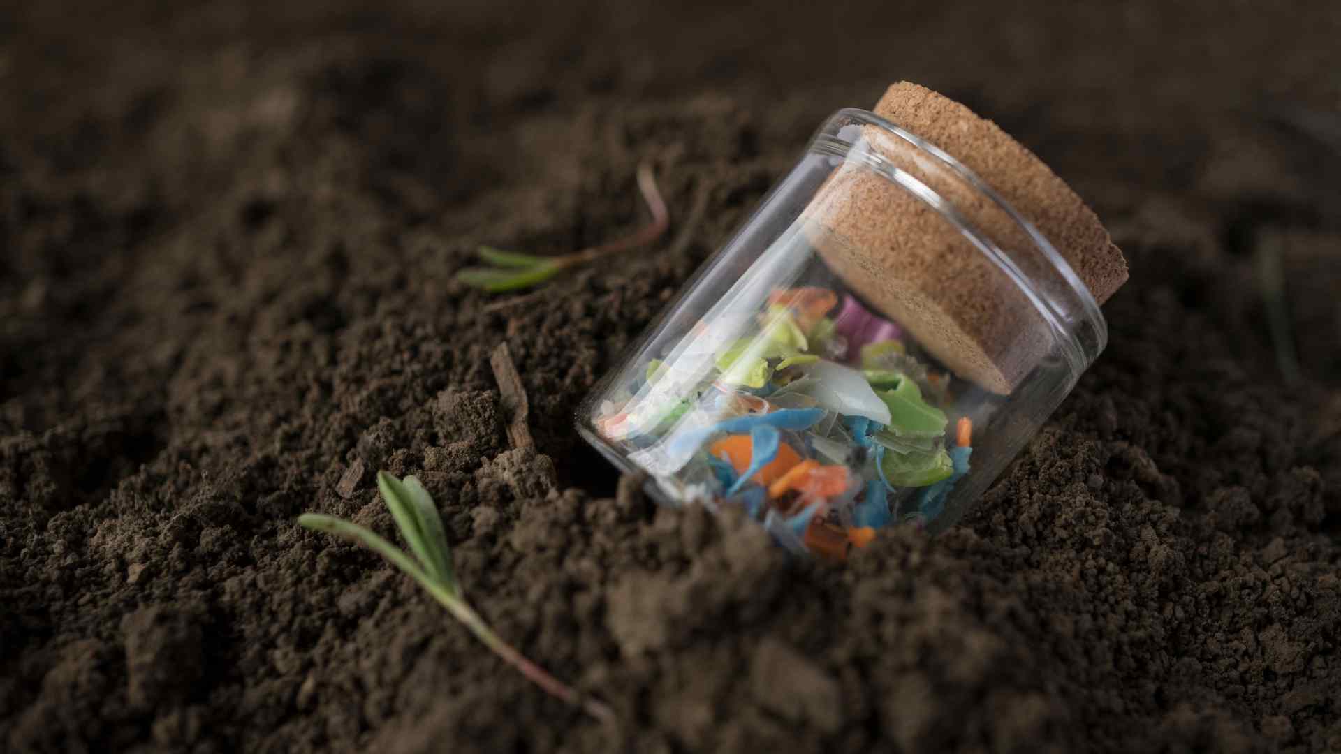 Microplastiche, un nemico invisibile per l’agricoltura, i boschi e la biodiversità