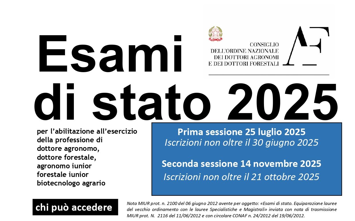 Esami di Stato di abilitazione professionale
